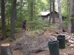 The brush pile becomes either mulch or kindling if actually or near dry