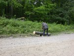 Paul begins to saw after trunk finally gotten in place