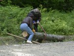 Kitty adds her weight as Paul saws