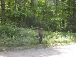 With a bunch of work, we saved this portion of a heavily producing blackberry patch