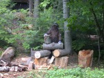 Paul smiles broadly behind the bug jacket with the last of the sawed and hauled tree trunk
