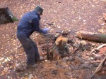 Paul won't let a dead stump hold him back Paul won't let a dead stump hold him back