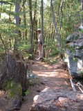 Paul waits beyond point where pathfinders cut downed tree to clear trail