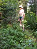 Paul takes in the varied - and different - plant growth in this area