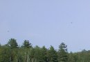 4 dragon flies in the sky above Paul
