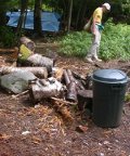 Mostly just large chips left by woodpeckers