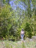 Paul poses in front of much needing rescuing apple tree - can you see it?