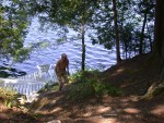 Back up the steps at a brisk pace