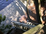 This steep set of steps immediately up from the dock are done as doubles - 2 at a time