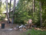 Paul lowers the long log onto his chopping block